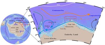 Paleoproductivity and deep-sea oxygenation in Cosmonaut Sea since the last glacial maximum: impact on atmospheric CO2